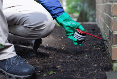 ant-control-houston-tx-hero